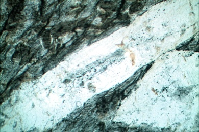 Schiefer mit Andalusit, Gesteinsdünnschliff Dauerpräparat