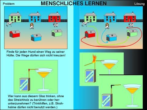 Transparentsatz Menschliches Lernen