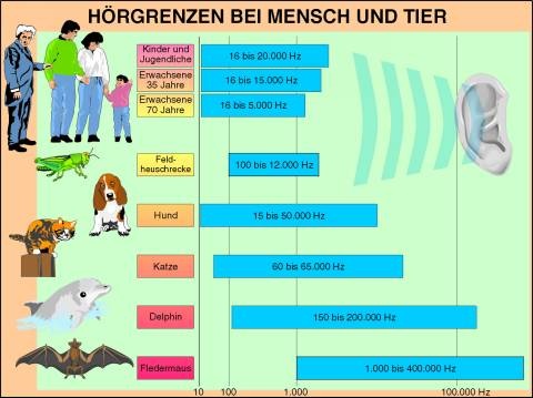 Digitale Folien auf CD, Hörgrenzen bei Mensch und Tier