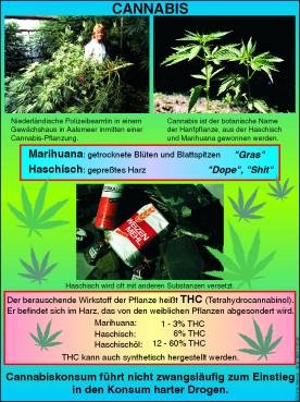Transparentsatz Cannabis (Haschisch, Marihuana)