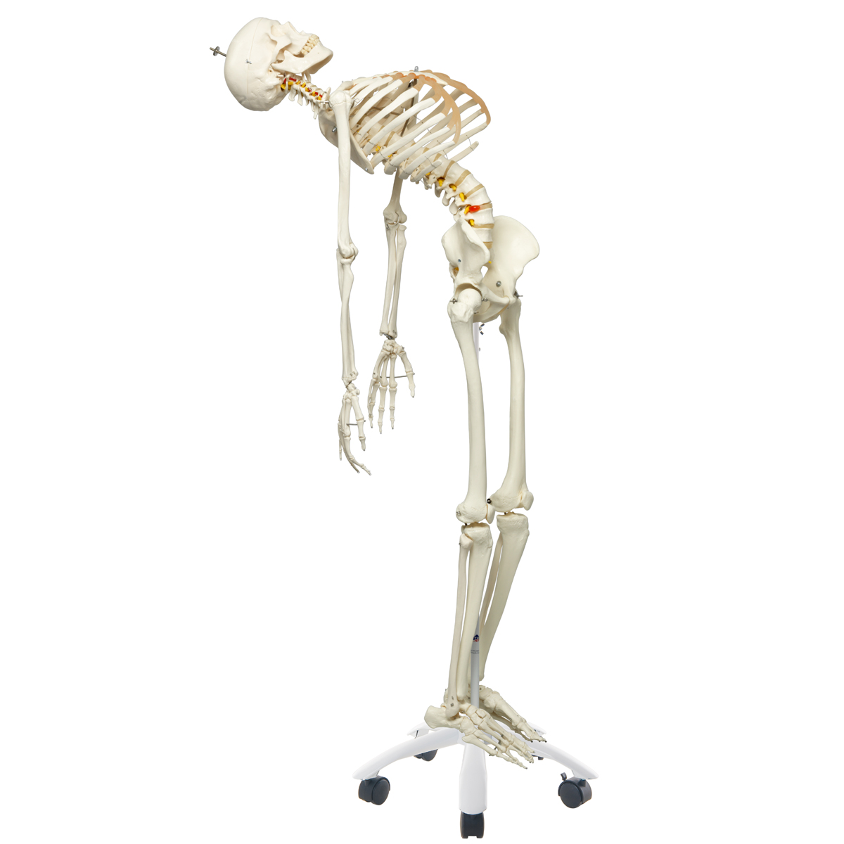 Outsunny Halloween Geisterbraut - 175cm Gruselfigur Mit Sound & Licht