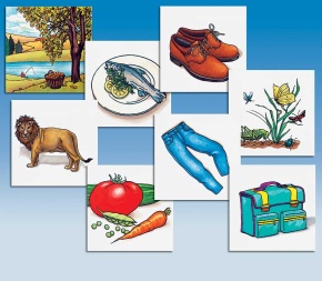 Vocabular - Bilderbox, Bildkarten zum Wörter lernen