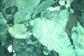 Granodiorit, Gesteinsdünnschliff Dauerpräparat
