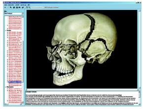 Skelett, Muskulatur und Bewegungsapparat des Menschen, Interaktive CD-ROM