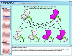 Mendelsche Gesetze, Modifikation und Mutation, Interaktive CD-ROM