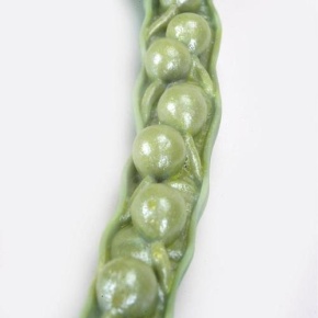 Rapsblüte (Brassica napus ssp. oleifera), Modell