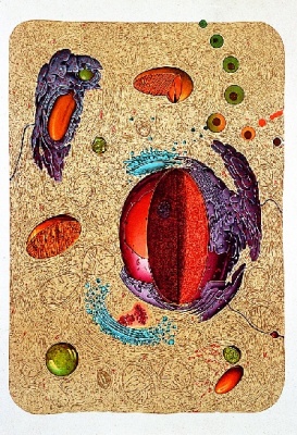Anatomische Wandkarte  Bau einer menschlichen Zelle