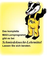 Max Lernkarten,  Grammatik 3